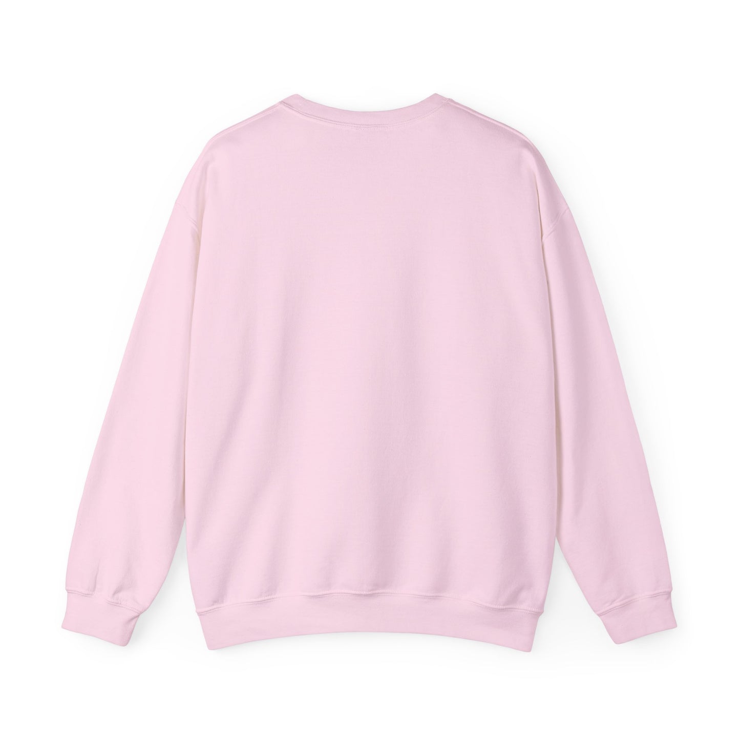 DNA Training Sweatshirt