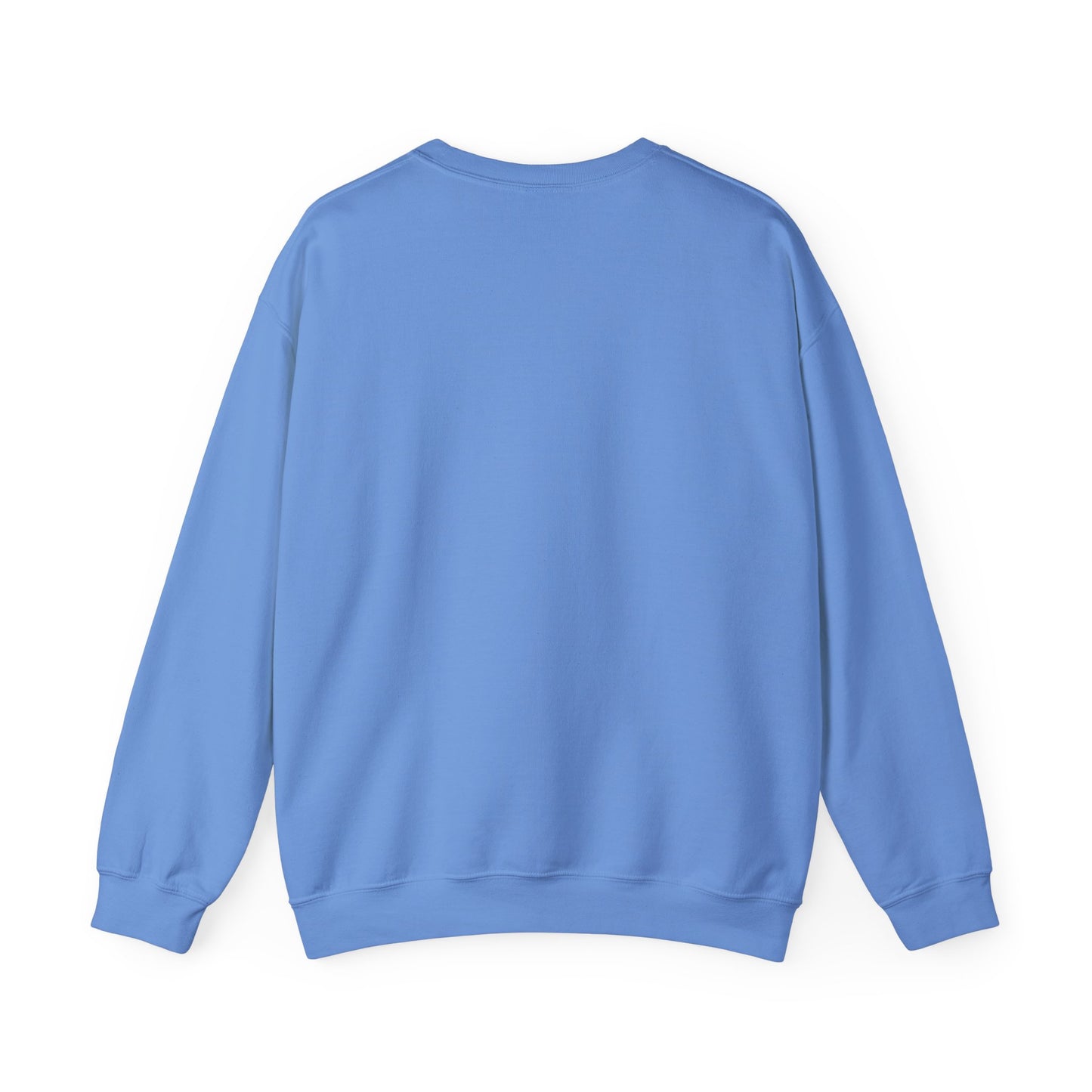 DNA Training Sweatshirt