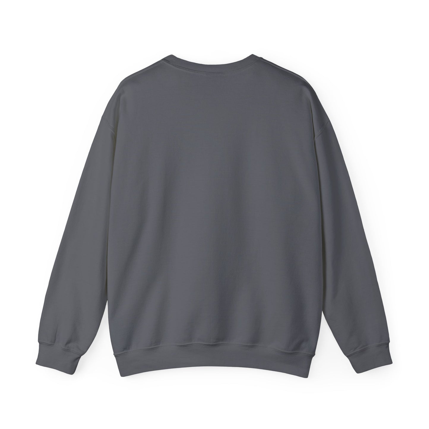 DNA Training Sweatshirt