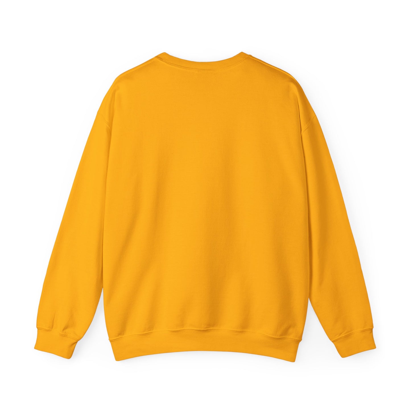 DNA Training Sweatshirt