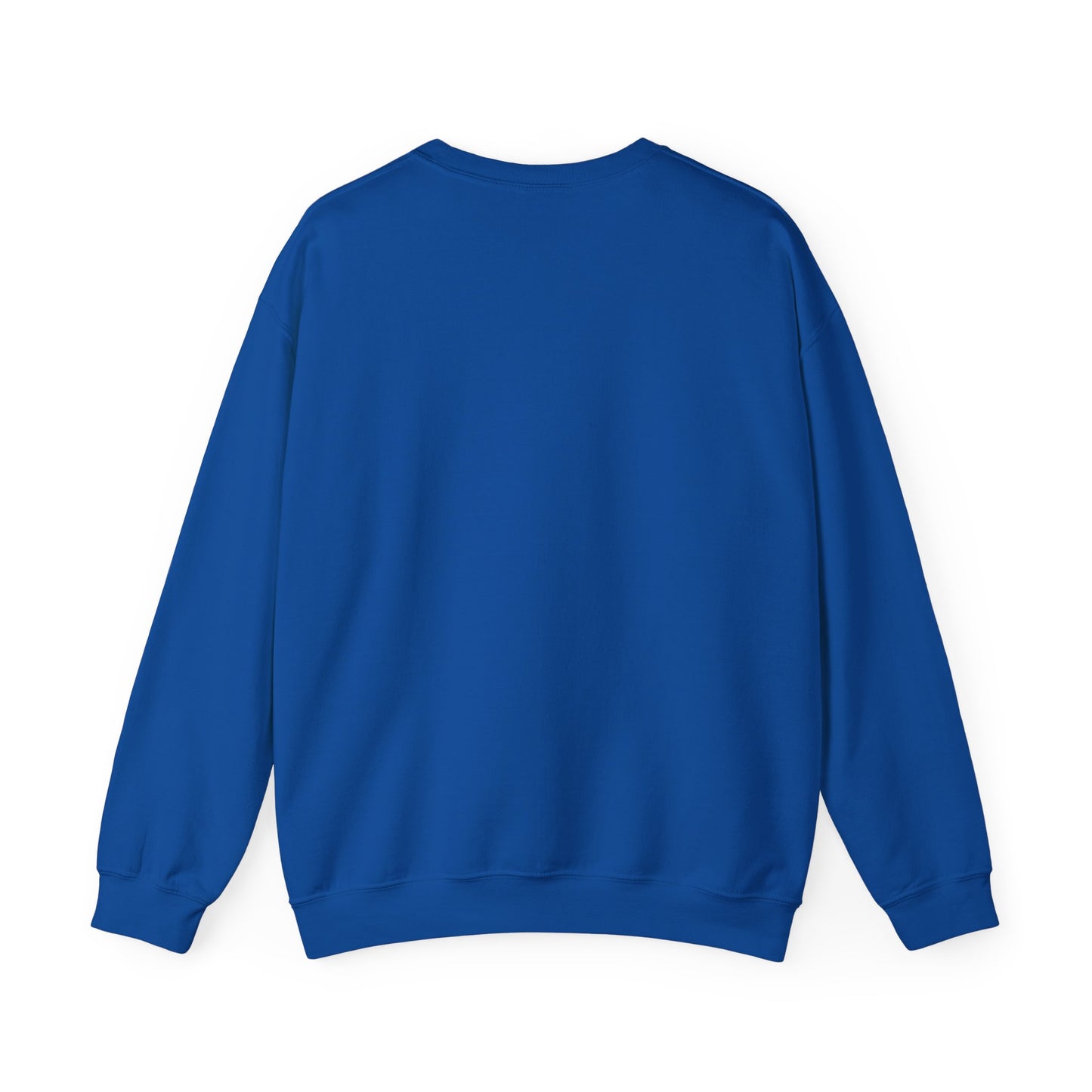 DNA Training Sweatshirt