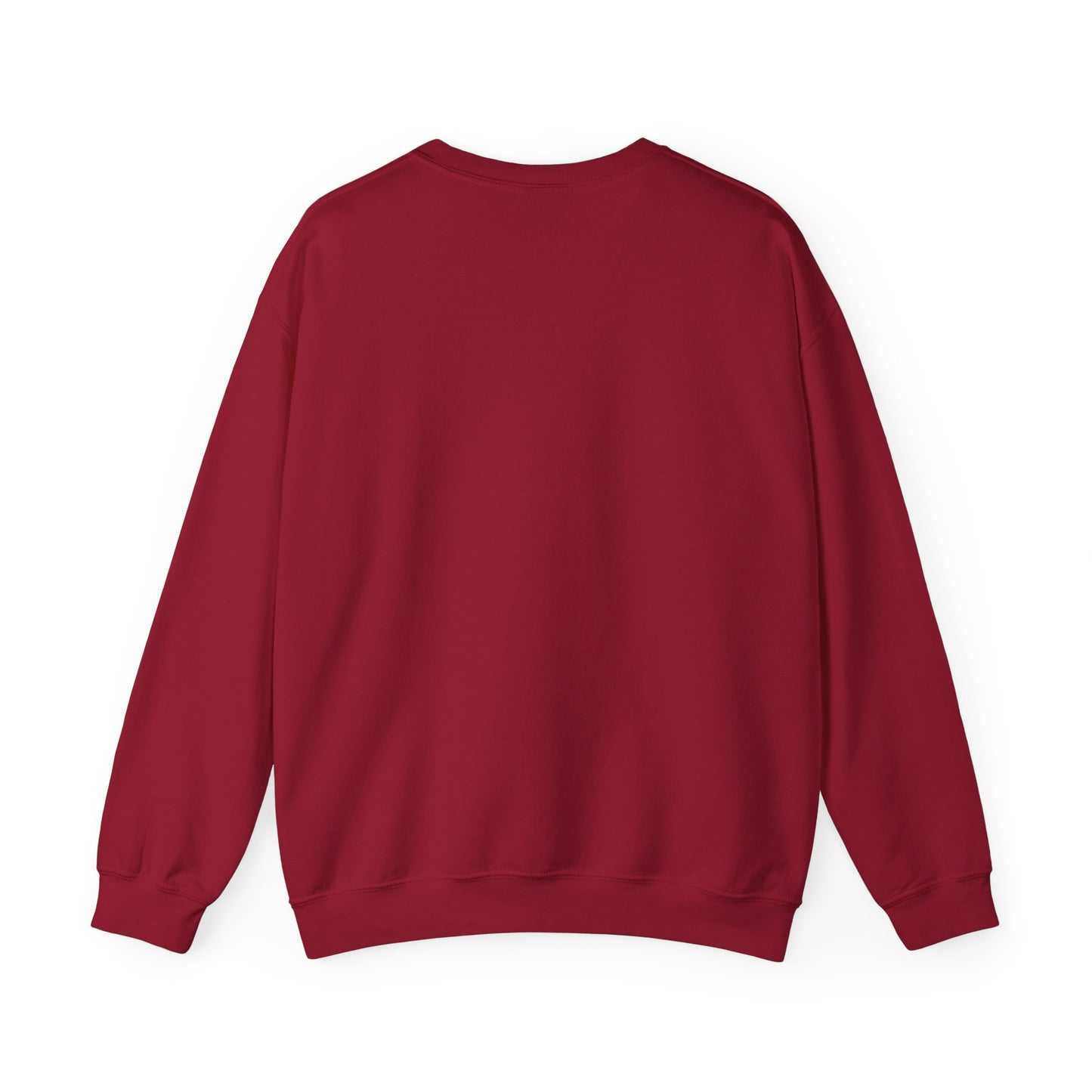 DNA Training Sweatshirt