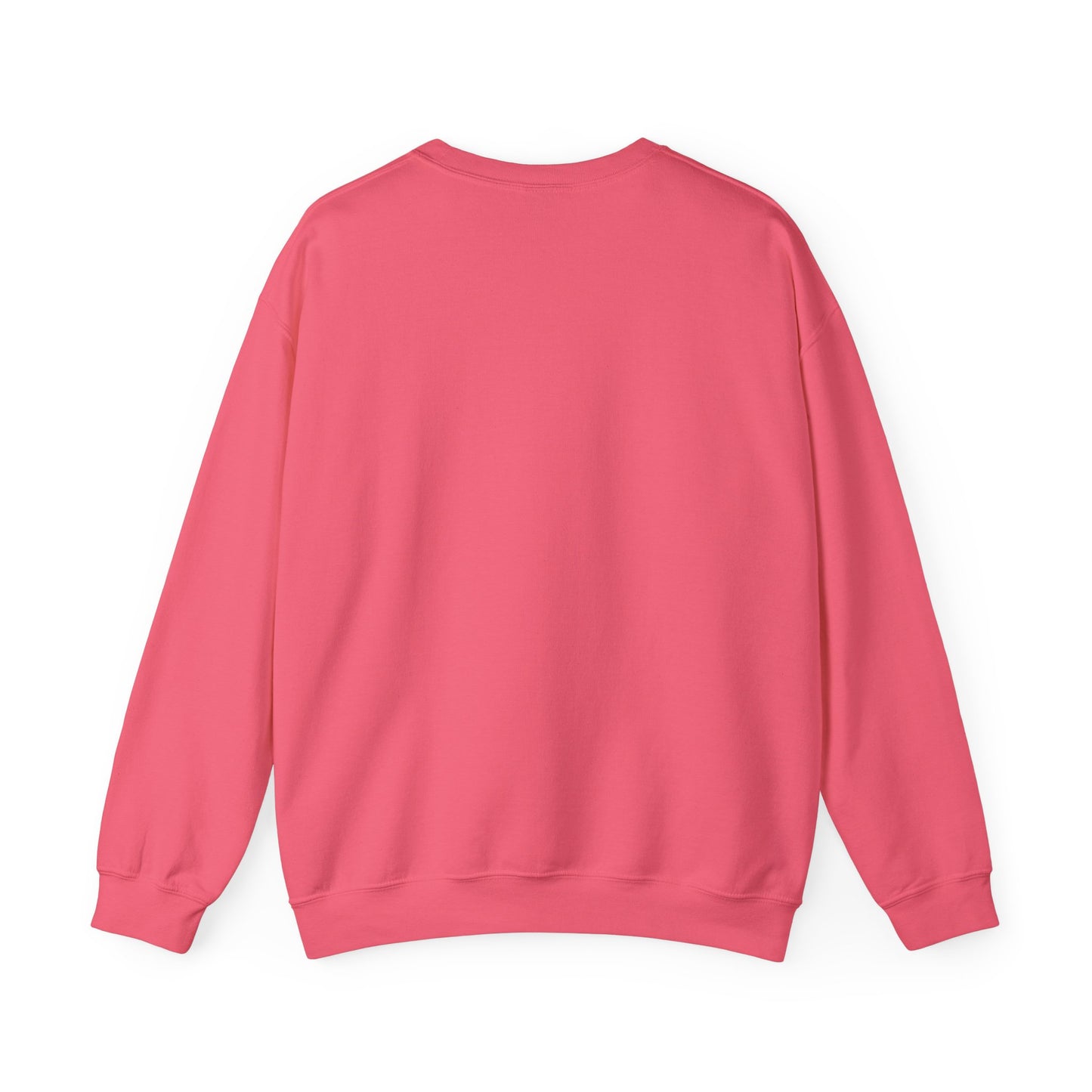 DNA Training Sweatshirt