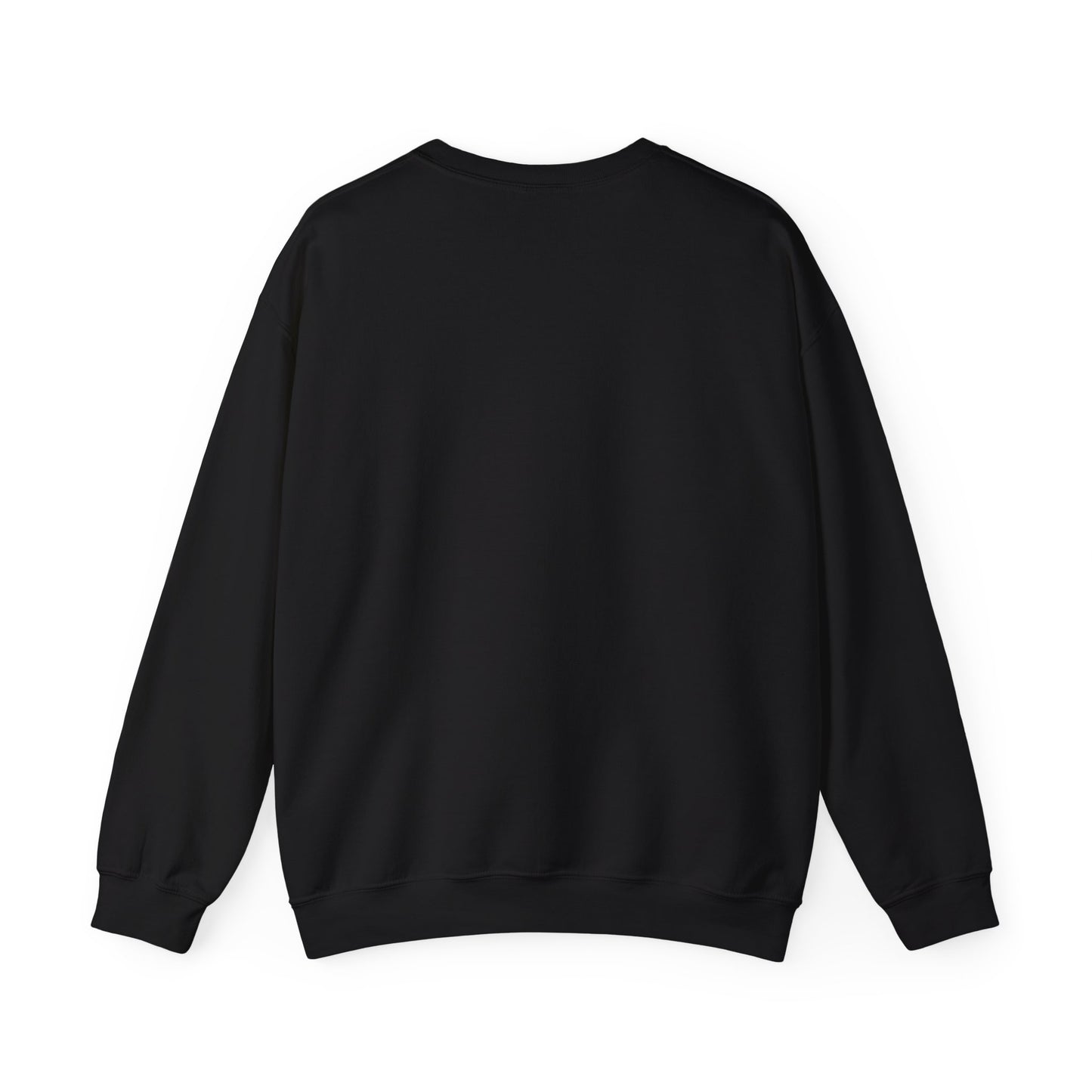 DNA Training Sweatshirt