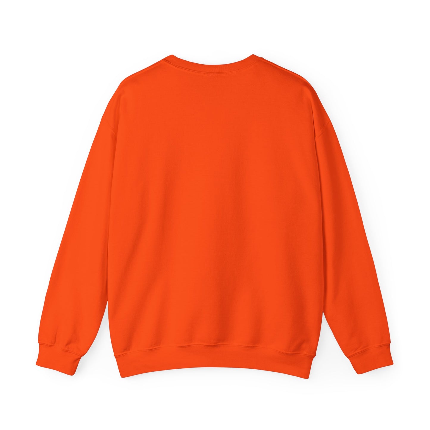 DNA Training Sweatshirt