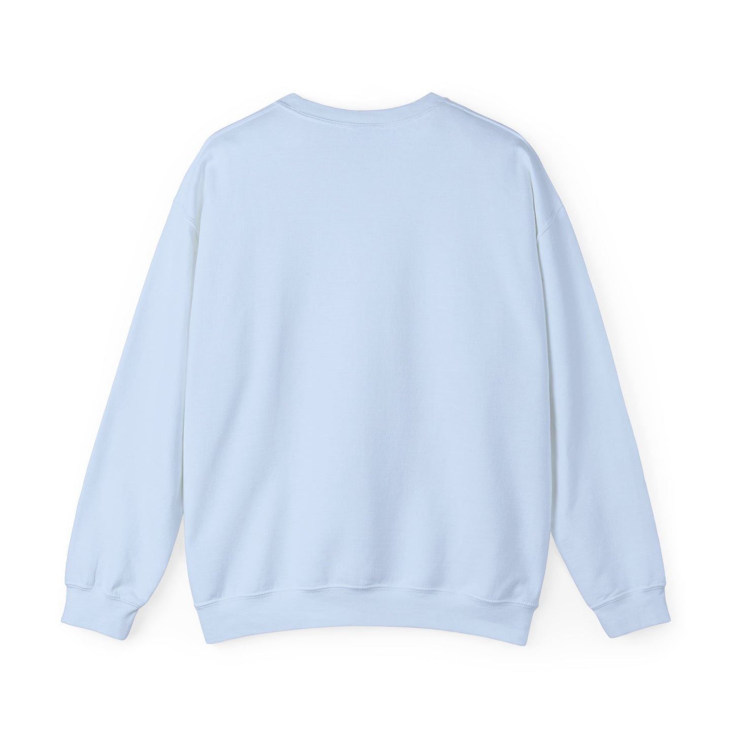 DNA Training Sweatshirt