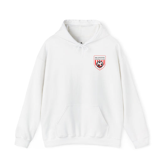 DNA - Heavy Blend Hoodie